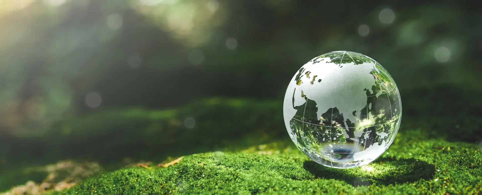 Koru Ambalaj. Çevreye duyarlı çözümler, güçlü yarınlar